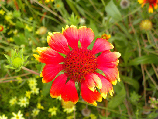 541294 (a): :1600x1200